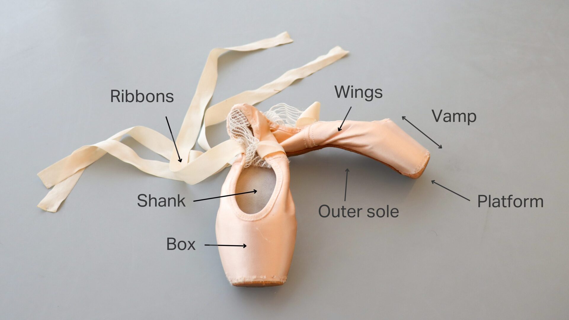 A pair of pointe shoes with the names of the various parts in text: ribbons, wings, vamp, outer sole, platform, shank, box